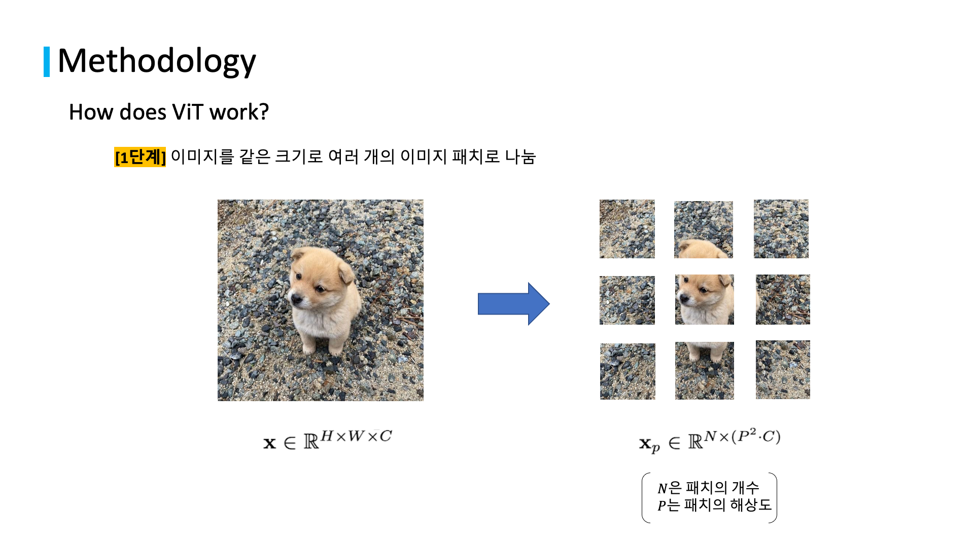 related studies to natural language processing